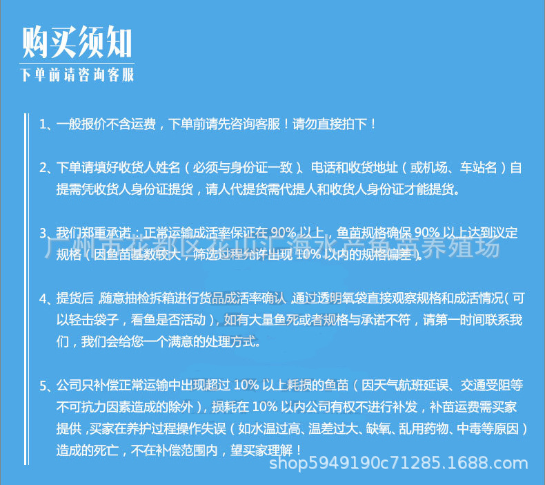 澳洲寶石鱸_10