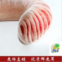 吉林鹿場直銷新鮮鹿茸二杠鹿茸一件代發(fā)