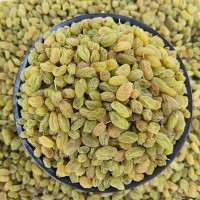 新疆葡萄干批發(fā)商用小珍珠小顆粒奶茶店蛋糕房