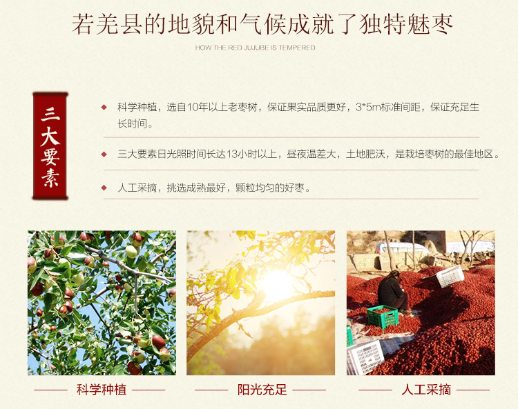 紅棗-詳情頁(yè)_08.jpg