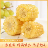 念初好物熟制玉米白玉米輕松便攜軟糯香甜真空包裝質(zhì)量保證