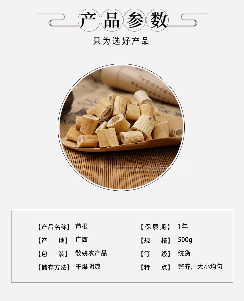 蘆根