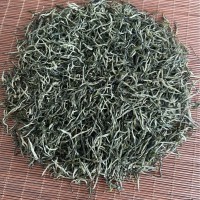 2023年春茶毛尖綠茶大量批發(fā)廣西三江綠茶產(chǎn)地貨源