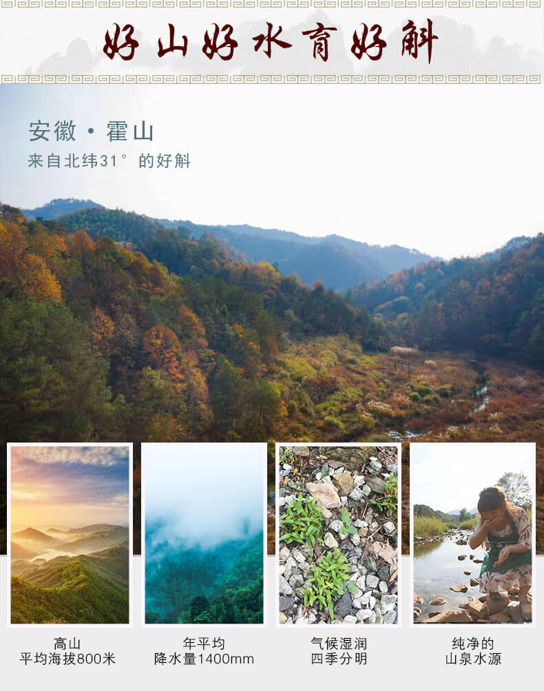 鐵皮石斛鮮條_03.jpg