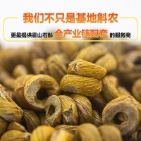 鐵皮石斛 霍山鐵皮石斛批發(fā) 石斛楓斗新鮮五年生仿野生鐵皮石斛
