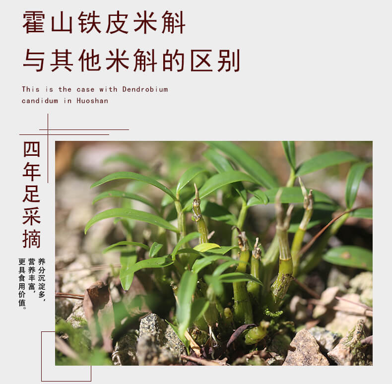 鐵皮米斛鮮條_05.jpg