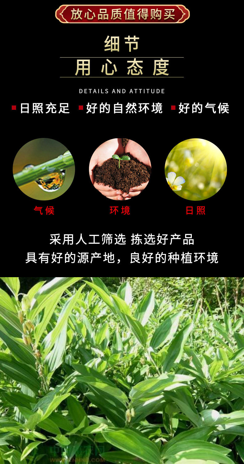 黃精詳情_05