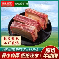 首菜首家內(nèi)蒙古黃牛軟排骨1斤/件生牛肉冷凍食品火鍋食材牛排