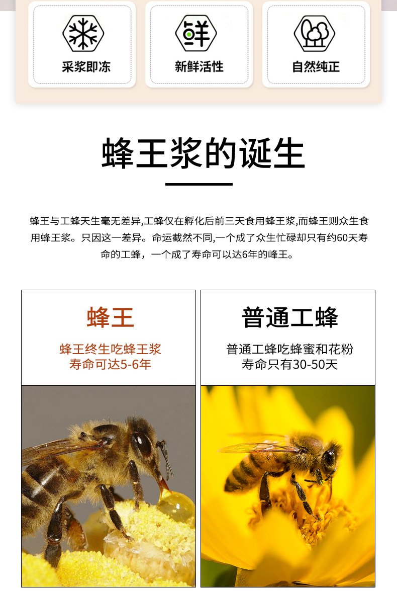 條狀王漿_02.jpg