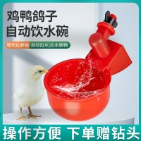 廠家生產(chǎn)跨境供貨家禽飲水碗 雞飲水杯 自動雞鴨飲水器