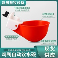 新款家禽塑料自動飲水碗 雞用飲水杯飲水器 自動飲水器喂水器