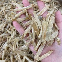 500g批發(fā)沙蟲北海沙蟲無沙小沙蟲海鮮干貨海產(chǎn)品海味
