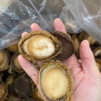5頭8頭10頭12頭澳洲鮑魚干貨南非鮑魚網(wǎng)鮑干鮑酒店餐飲用鮑魚500g