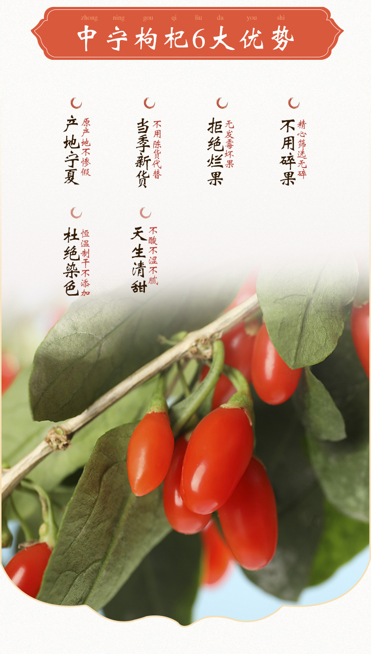 238g詳情_04.jpg