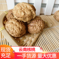 廠家批發(fā)500克裝云南核桃 原味薄殼紙皮核桃 零食堅(jiān)果薄皮核桃