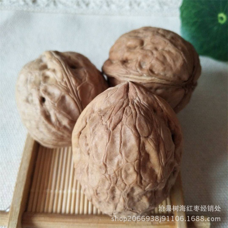 微信圖片_20180409160438.jpg