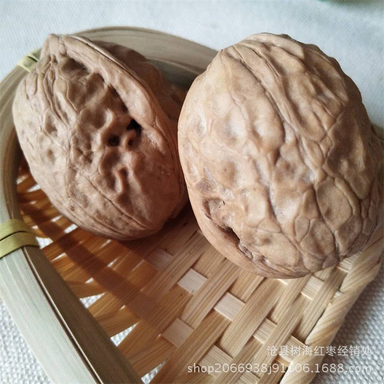微信圖片_20180409160441.jpg