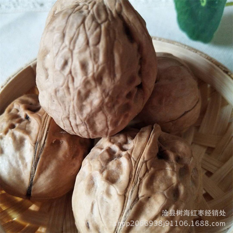微信圖片_20180409160444.jpg