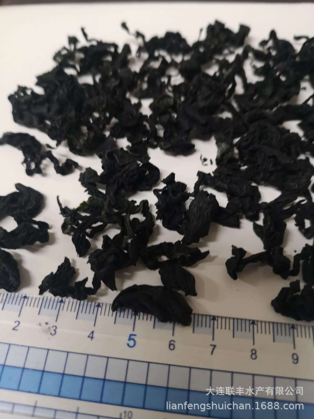裙帶菜