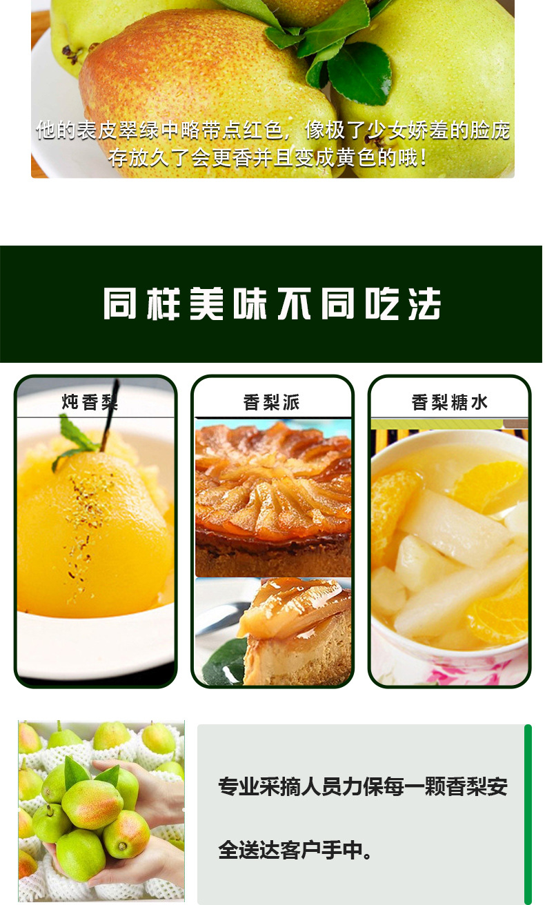 庫(kù)爾勒香梨_06