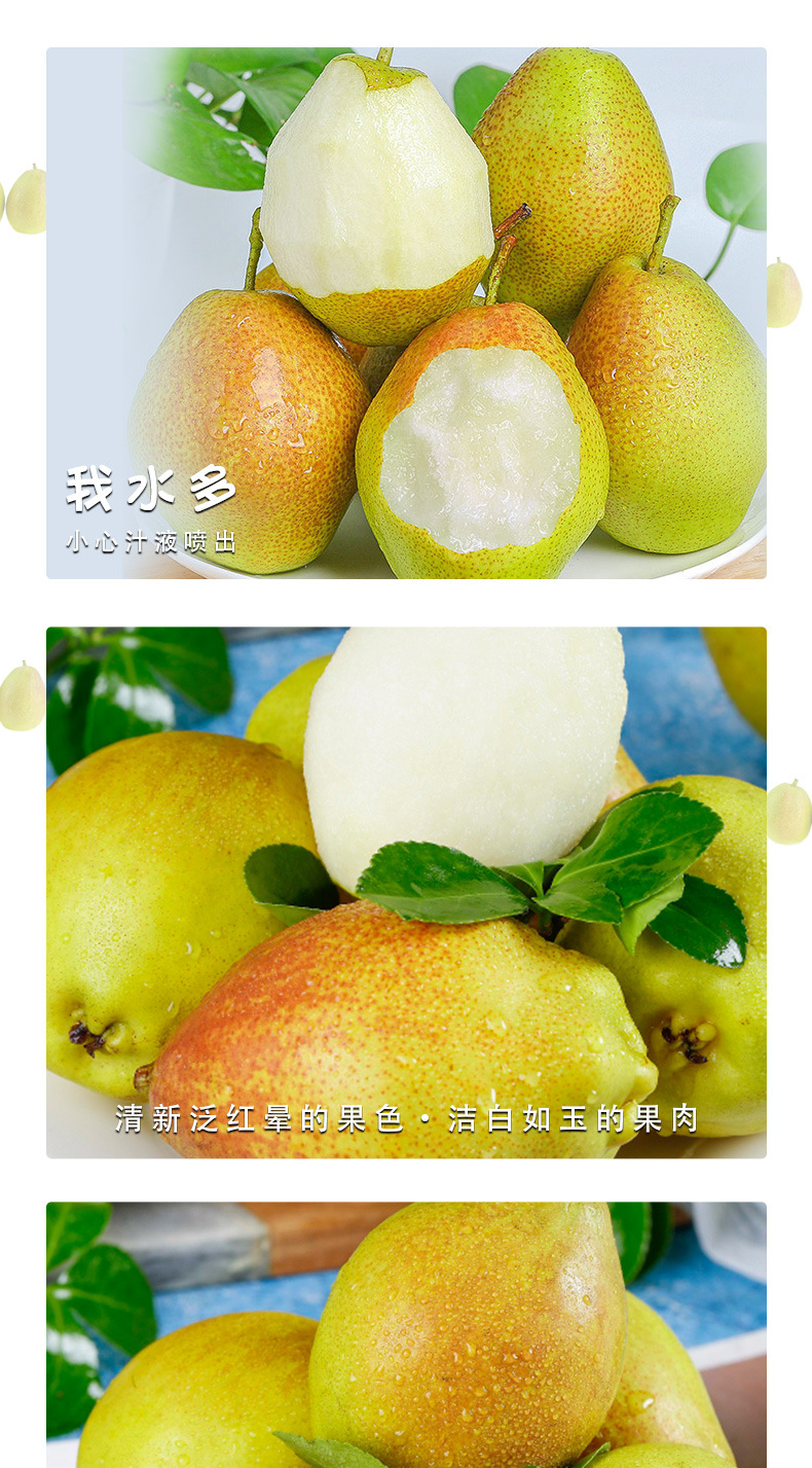庫(kù)爾勒香梨_05