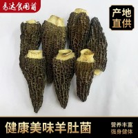 云南四川剪柄羊肚菌撒裝干貨批發(fā) 營養(yǎng)煲湯材料食用香濃菌