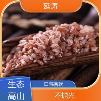 古法栽培 紅米 農(nóng)家自產(chǎn)紅軟米 不拋光不打蠟 延濤合作社