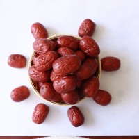 供應新疆大棗