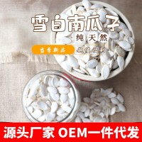 【一件代發(fā)】雪白生南瓜子外貿高品質大白瓜子廠家直銷