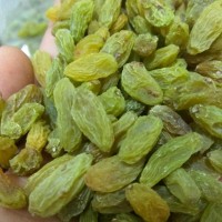 新疆吐魯番特產小綠葡萄干500g批發(fā)無核葡萄果干零食一件代發(fā)包郵