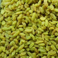 葡萄干新疆吐魯番特產(chǎn)葡萄干 無(wú)核免洗綠葡萄干500g 廠家批發(fā)包郵