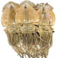 廠家直銷 供應(yīng)大量 出口級 干魷魚板 / 干魷魚片 / 干魷魚