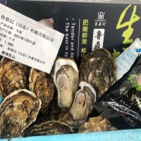 鮮活水產(chǎn) 乳 山 牡蠣 帶殼海蠣子 生蠔 新鮮好品質