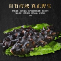 野生即食海參批發(fā) 一手貨源 廠家直供 500g/袋 大小規(guī)格齊全