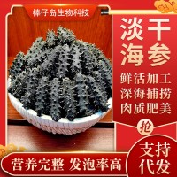 廠家直銷大連淡干海參遼參高刺海參干貨批發(fā)100g簡易禮盒半干海參