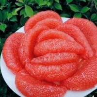 紅寶石青柚 紅肉蜜柚三紅柚子 現(xiàn)摘新鮮 皮薄多汁
