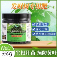 發(fā)財樹用肥料 家庭有機花肥 山東廠家批發(fā) 可用于黃葉爛根復合肥