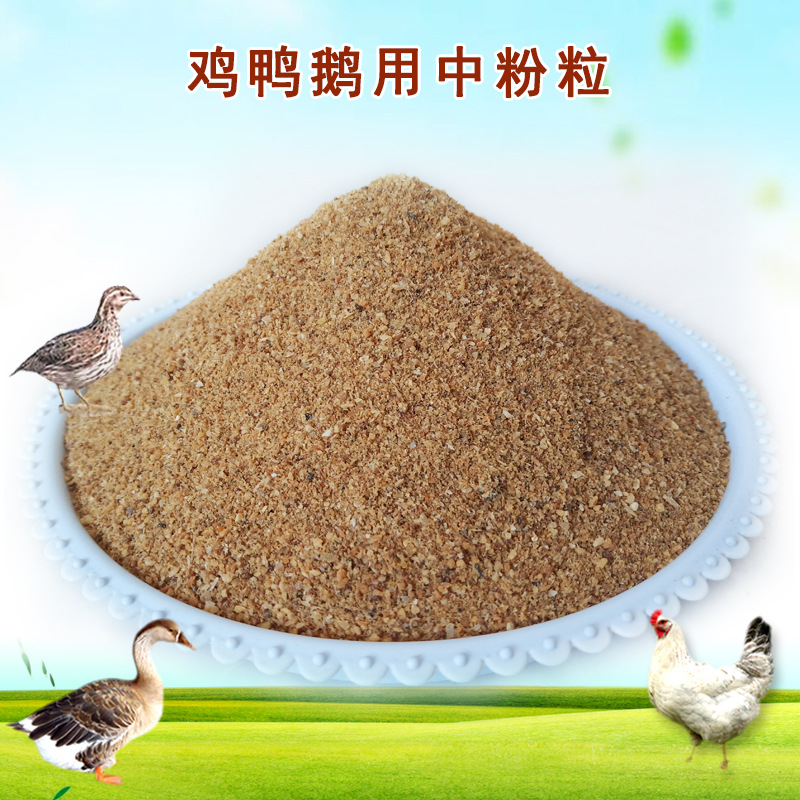 主圖中粉粒