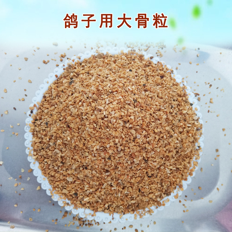 鴿子用大骨粒