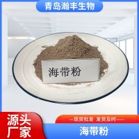 海帶粉 廠家供應(yīng) 飼料添加 脫水海帶粉