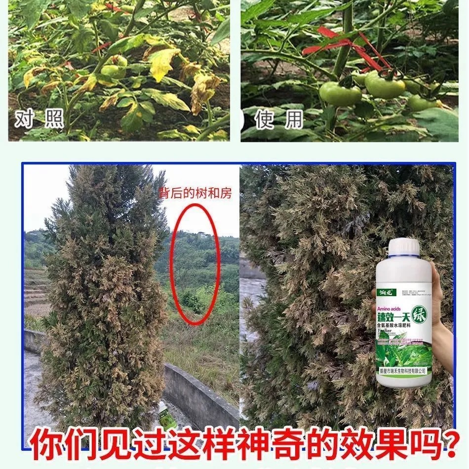 微信圖片_20210702134545