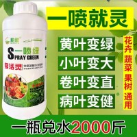 200g黃葉死苗一噴綠保花保果葉面肥果蔬氨基酸腐植酸葉面肥營養(yǎng)液