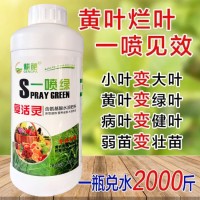 500g黃葉死苗一噴綠保花保果葉面肥果蔬氨基酸葉面肥腐植酸營養(yǎng)液