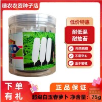 超級白玉春蘿卜種子 耐低溫耐抽苔 肉子脆甜不易空心單個重1.4kg