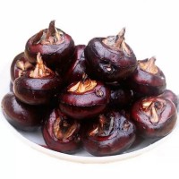 當(dāng)季馬蹄 新鮮現(xiàn)挖荸薺水果蔬菜 脆甜爽口電商直播貨源 一件代發(fā)