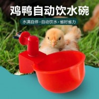 家禽自動飲水碗 自動雞飲水機雞飲水杯雞飲水器
