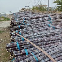 展宏 黑皮甘蔗大量供應(yīng) 脆甜多汁當(dāng)季水果 清甜果蔗現(xiàn)砍現(xiàn)發(fā)