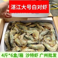 湛江水產(chǎn)大蝦 新鮮冷凍大號(hào)白對(duì)蝦 沙特蝦海鮮水產(chǎn)對(duì)蝦整箱24斤