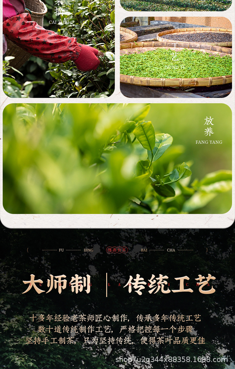 張堅定小餅茶透明罐詳情_05.jpg