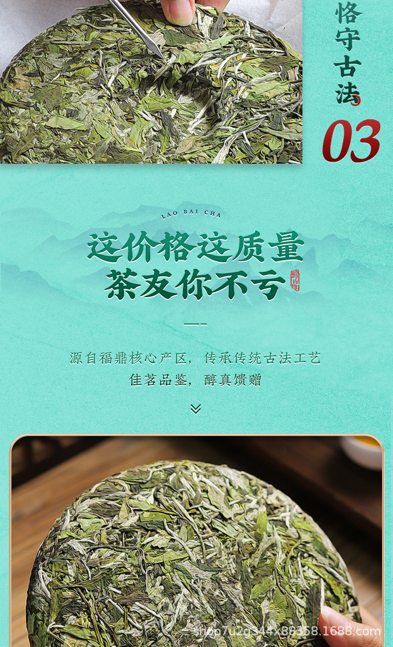 張堅定白牡丹詳情_07.jpg